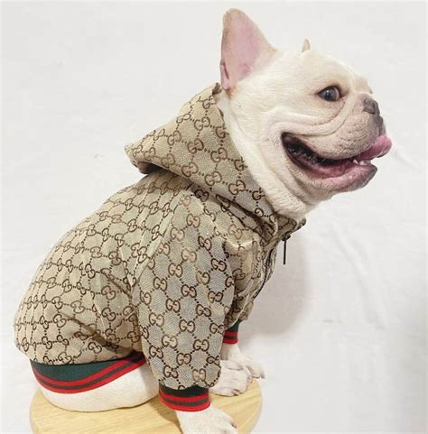 fake designer clothes for dogs|luxury designer dog clothes.